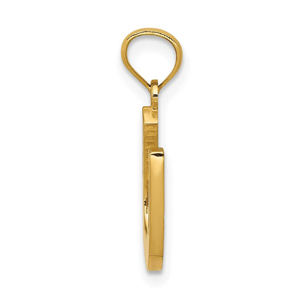 14k Yellow Gold Reversible Horseshoe Pendant, 13 x 20mm